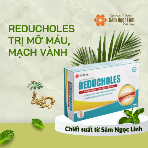 REDUCHOLES – TRỊ MỠ MÁU, MẠCH VÀNH